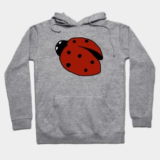 Ladybug Hoodie